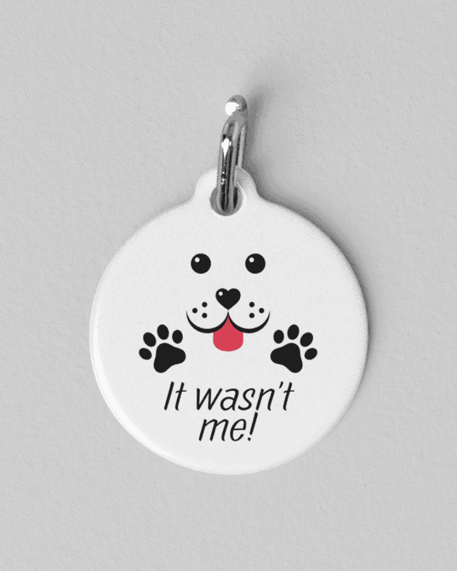 Silly Pet Tags
