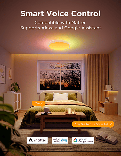 Govee 15inch RGBICWW + RGBICWW Round Smart Ceiling Light