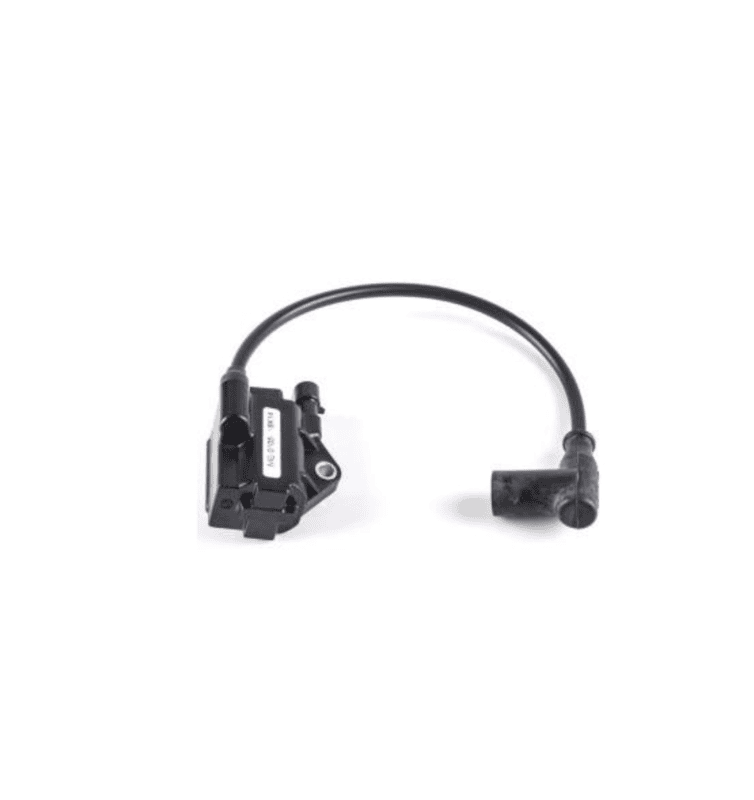 Rotax Coil Evo