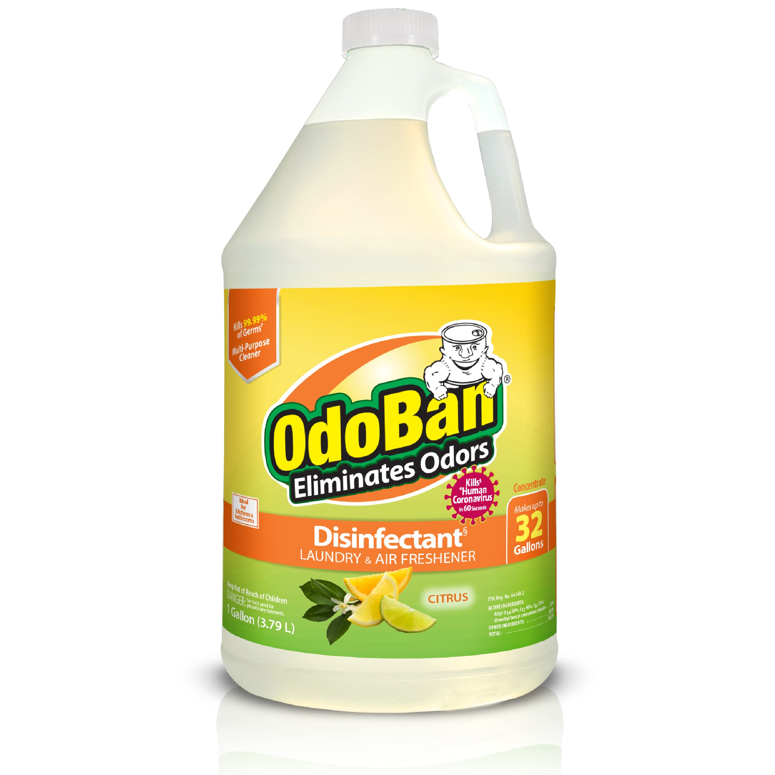 OdoBan Disinfectant Concentrate and Odor Eliminator, 1 Gallon, Citrus Scent 1 Count (Pack of 1)