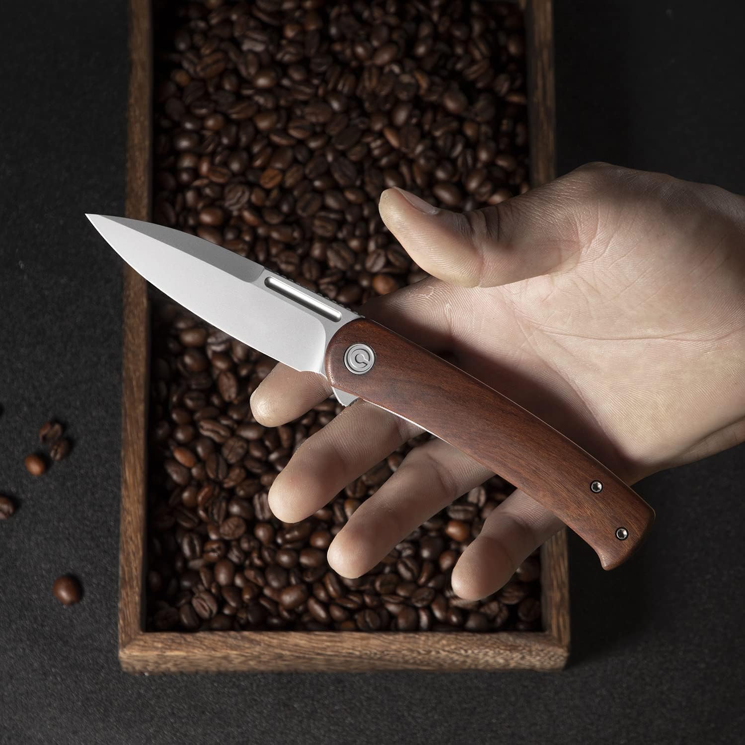 CIVIVI Cetos Folding Knife 14C28N Spear Point Blade