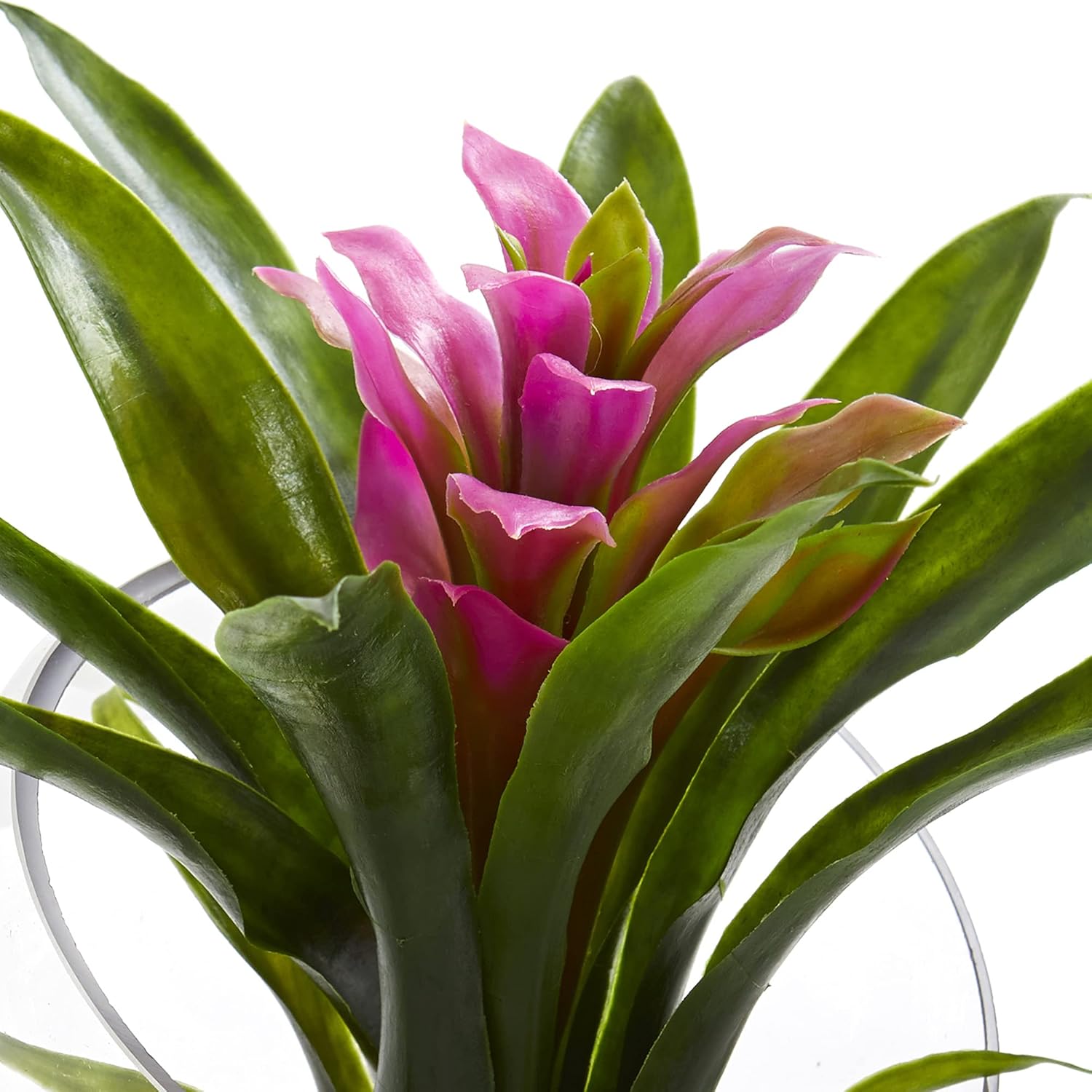 Nearly Natural Tropical Bromeliad 8inH Artificial Floral Arrangement With Angled Vase, 8inH x 6inW x 6inD, Purple