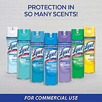 Lysol Professional Disinfectant Spray, Crisp Linen, 19 oz