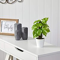 Nearly Natural 9in. Pothos Artificial Plant in White Planter (Real Touch) 1 Count (Pack of 1)