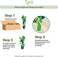 Nearly Natural 18inH Dieffenbachia Artificial Plant With Ceramic Planter, 18inH x 16inW x 16inD, Tan/Green