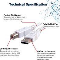 C2G/Cables to Go 2m USB Cable - USB 2.0 A to B Cable White (6.6ft)