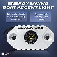 BLACK OAK LED Marine Accent Rock Light - Dimmable LED Boat Light