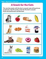 Scholastic Teacher Resources Weekly Reader Workbook: Summer Express, Grades K 1