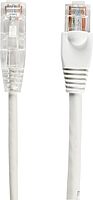 Black Box Slim-Net Cat.6 Patch UTP Network Cable - 1 ft Category 6 Network Cable for Patch Panel