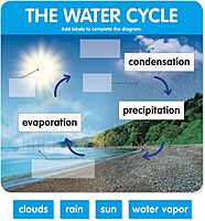 Scholastic Teachers Friend Early Science Concepts Bulletin Board Set, Preschool - Grade 2