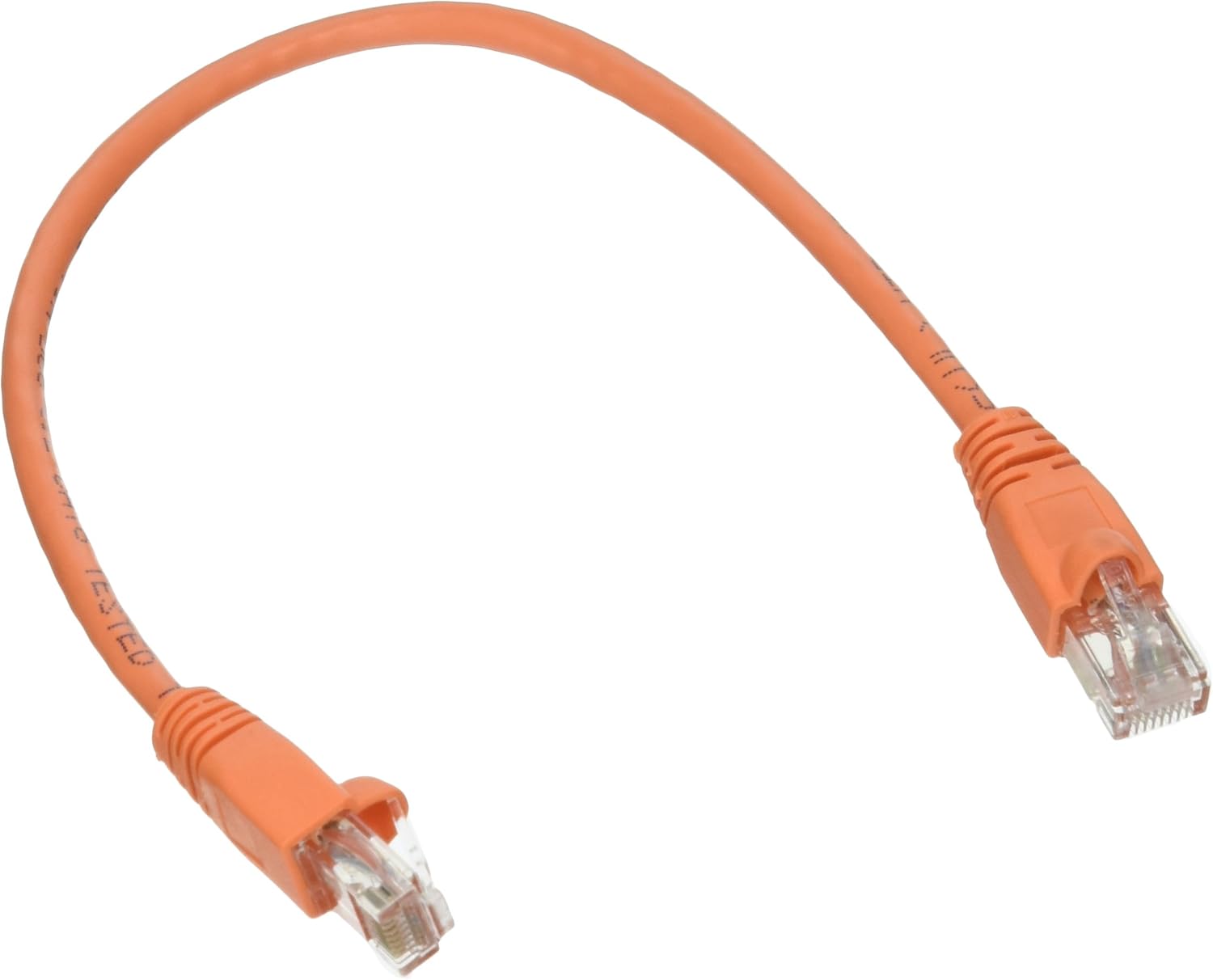 Black Box Connect Cat6 UTP Patch Network Cable - 1 ft - Orange