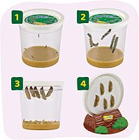 Insect Lore Raise and Release Butterfly Garden Kit – Caterpillar Habitat with redeemable Voucher – STEM-accredited Live Butterfly Growing Kit for Kids, Classrooms, and Homeschool Learning