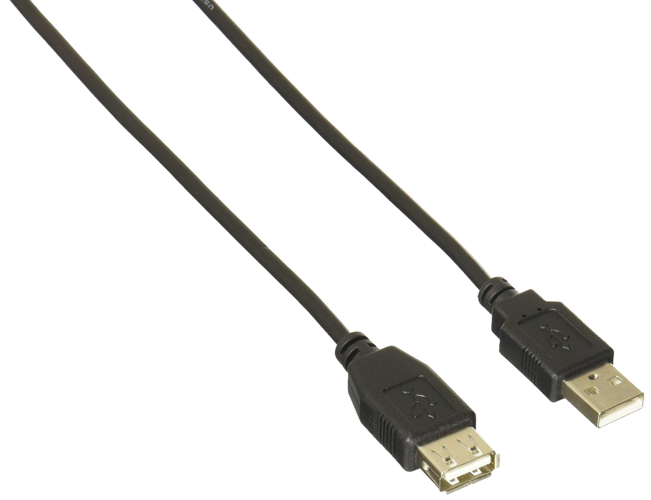 Rocstor Premier 10 Ft USB 2.0 Extension Cable A to A - M/F - Type A Male USB - Type A Female USB - 10Ft
