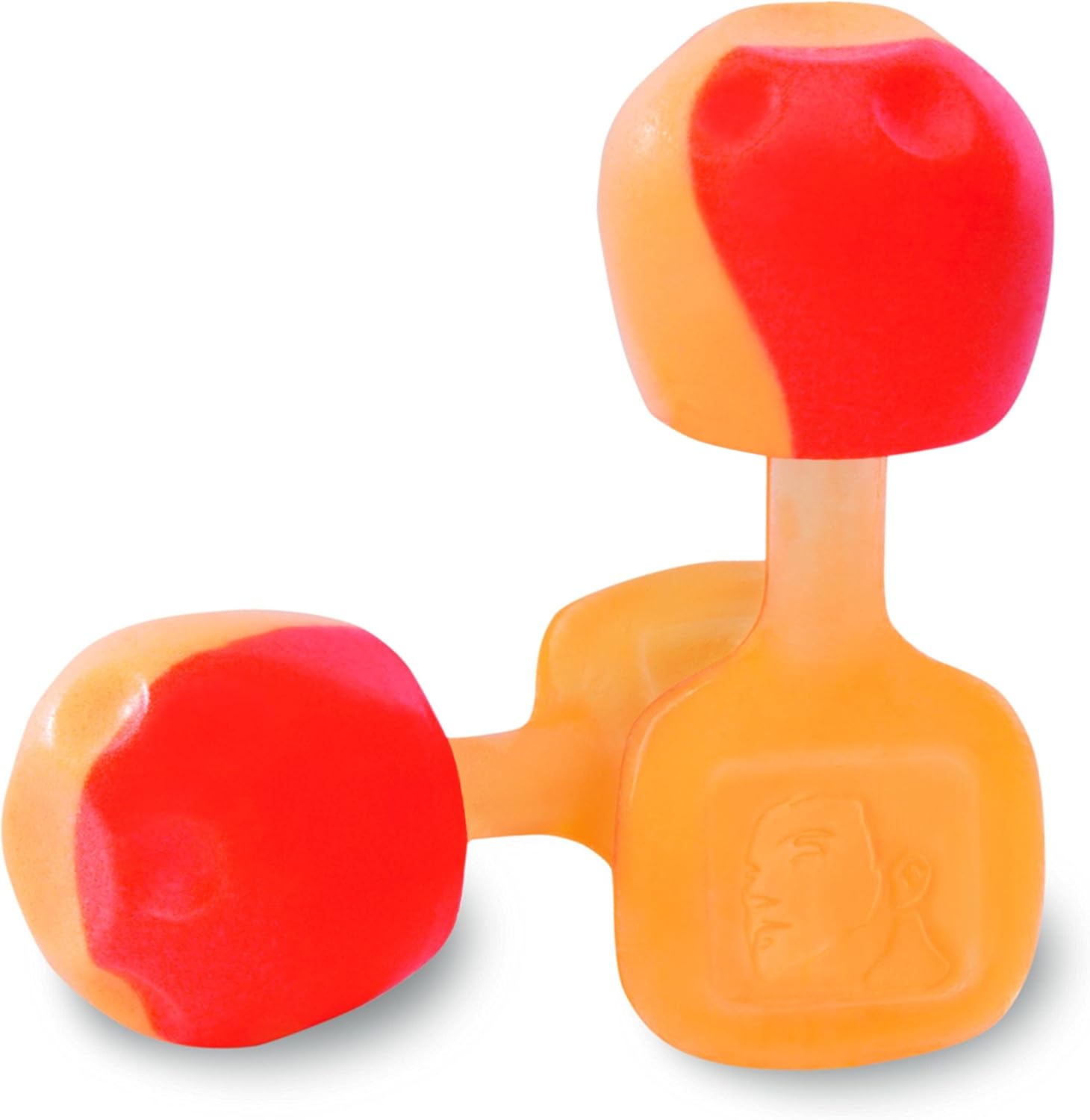 Howard Leight TrustFit Pod Reusable Foam Earplugs