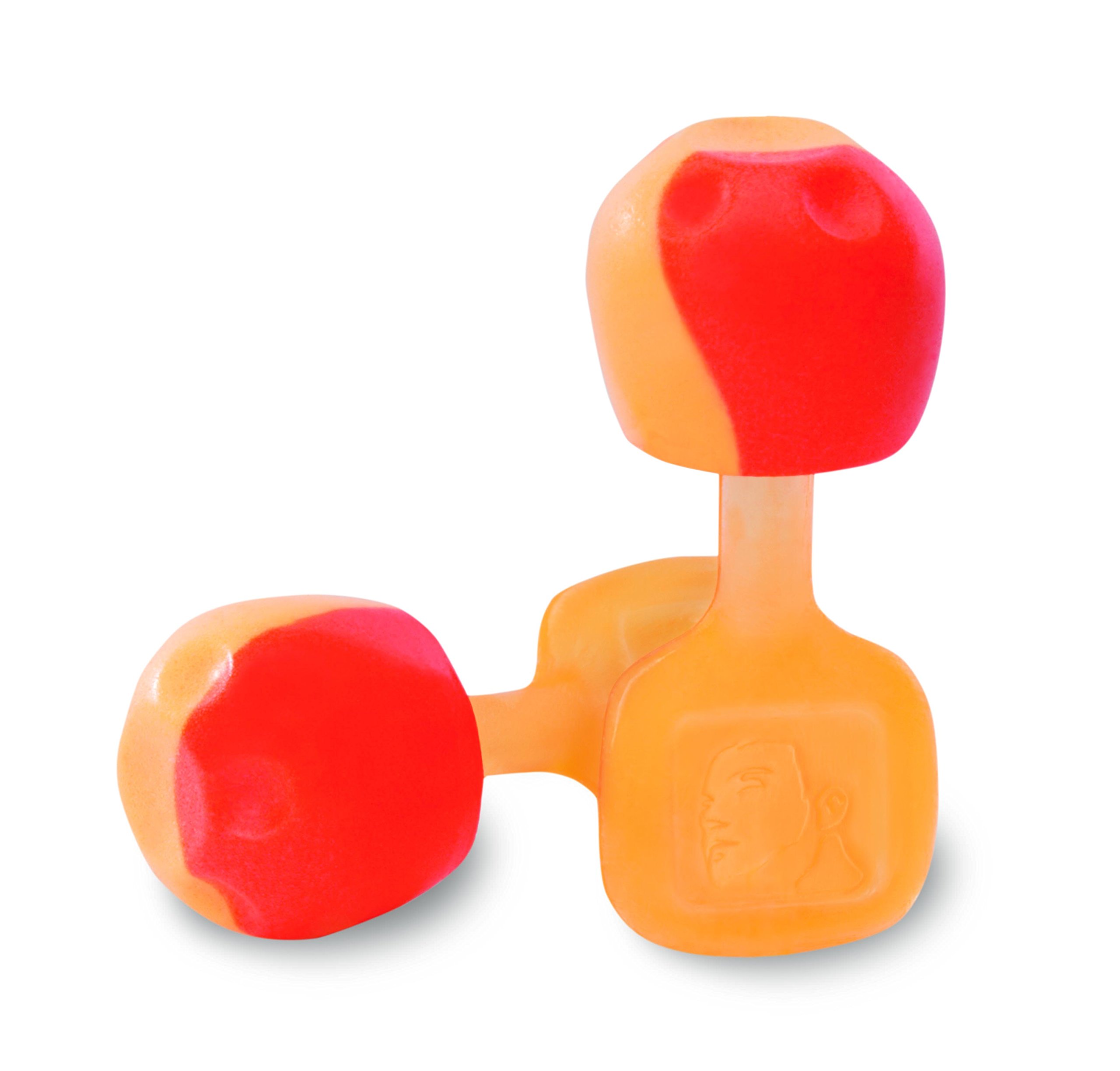 Howard Leight TrustFit Pod Reusable Foam Earplugs