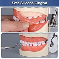 Tipodonto Craneomex c/cavidades