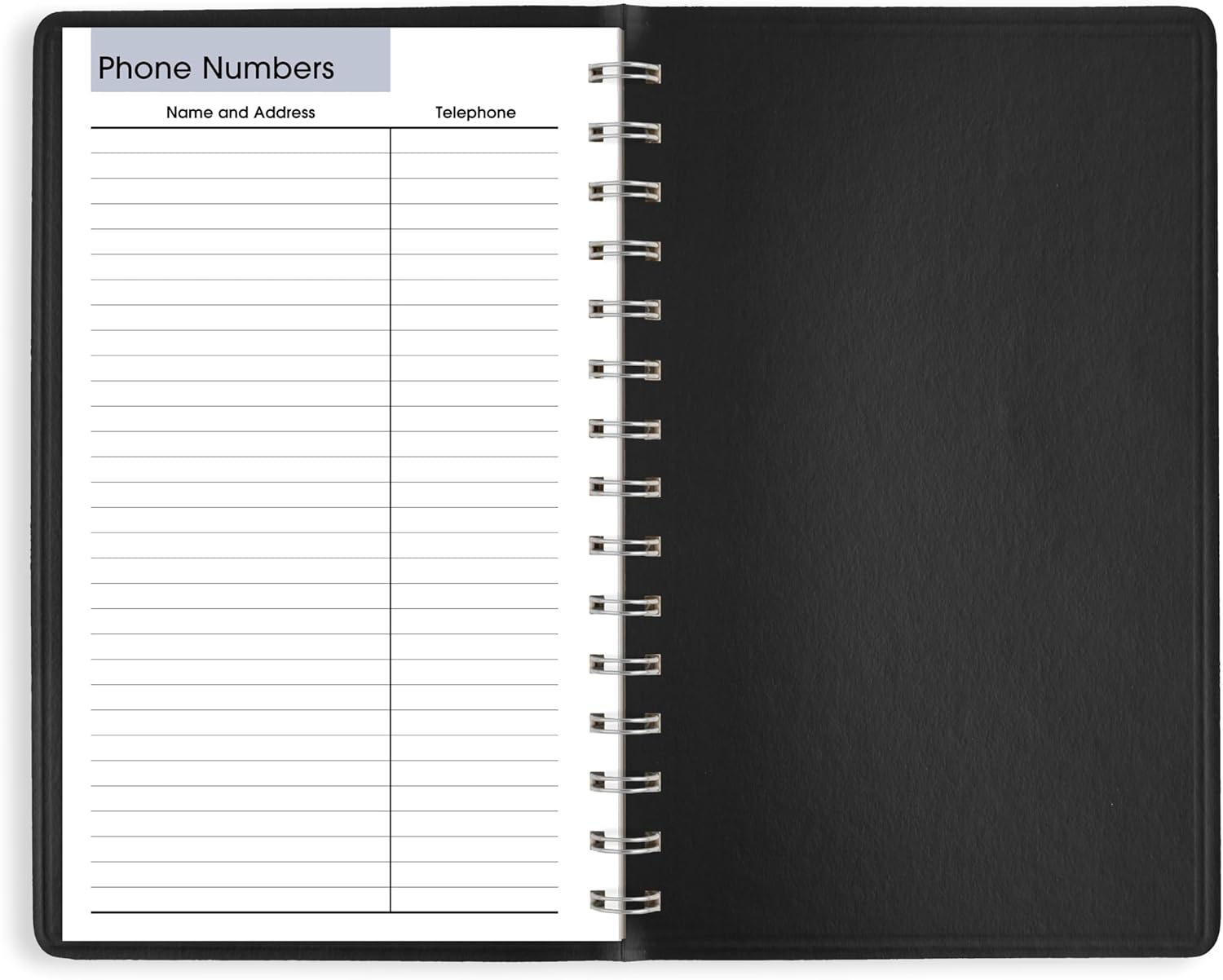 AT-A-GLANCE 2026 Appointment Book Planner, Daily, 5" x 8", Small, Hourly, DayMinder, Black (SK440026)