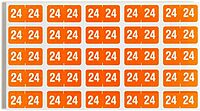 Smead® ETS Color-Coded Year Labels, SMD67924, 1/2" x 1", Orange, 25 Labels Per Sheet, Pack of 10 Sheets