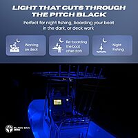 BLACK OAK LED Marine Accent Rock Light - Dimmable LED Boat Light