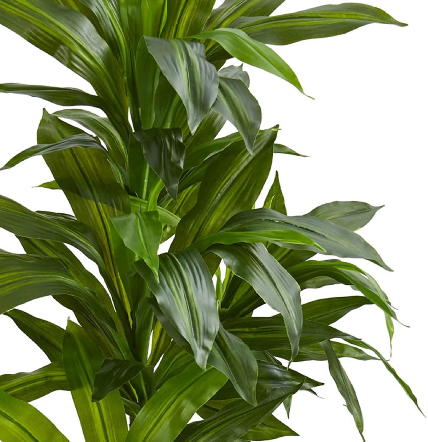 Nearly Natural 4ft. Dracaena Artificial Plant in Sand Colored Planter (Real Touch), Green