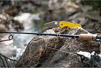 Spyderco Native 5 Folding Knife with 2.95" Blade