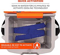 Ergodyne Chill-Its 6705 Evaporative Cooling Bandana