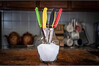 SPYDERCO Z-Cut Kitchen Knife with CTS BD1N Stainless Steel Blade