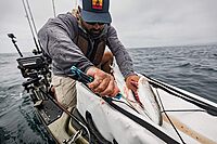 Gerber Gear Controller - Saltwater Fishing Fillet Knife for Fishing Gear - Cyan, 6 Inches