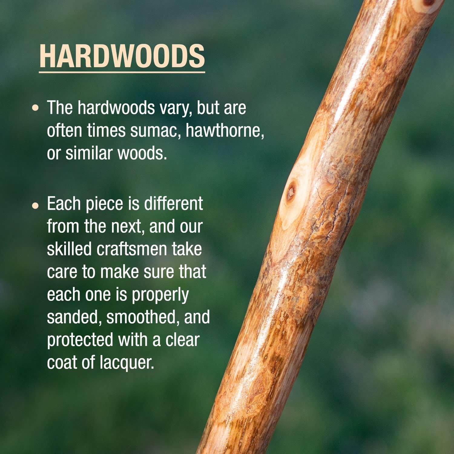 BRAZOS Free Form Rustic Wood Walking Stick, Traditional Handle, Made in USA