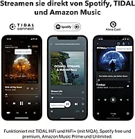 WiiM Mini Streamer