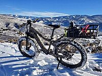 QuietKat Pannier Cargo Basket