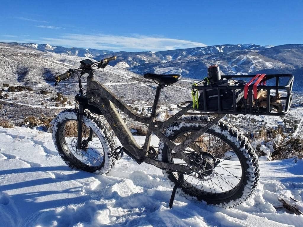 QuietKat Pannier Cargo Basket