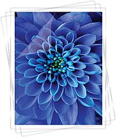 Fellowes Clear Laminating Pouches, 9in x 11 1/2in, 7 Mil Thickness, Glossy, Pack Of 100