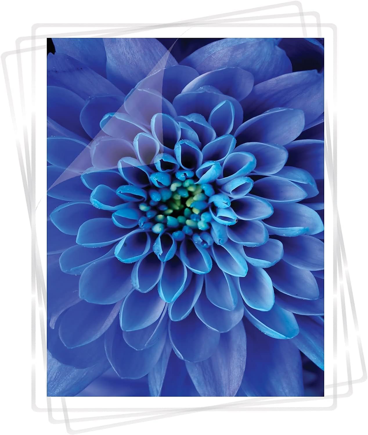 Fellowes Clear Laminating Pouches, 9in x 11 1/2in, 7 Mil Thickness, Glossy, Pack Of 100