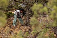 Gerber Gear Gator Machete