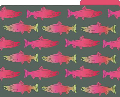 Barker Creek Designer File Folders Set of 12, Sea & Sky, Multi-Design, Reversible, Colorful Patterns Inside and Out