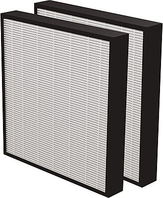 Fellowes AeraMax Pro True HEPA 2in Filter, For Fellowes AeraMax Pro AM3/AM4 Air Purifiers , Pack Of 2