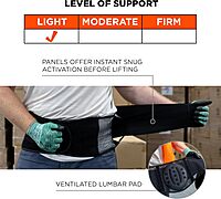 Ergodyne ProFlex 1051 Mesh Back Support