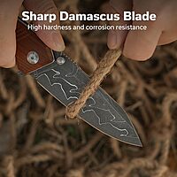 CIVIVI Placoid Folding Pocket Knife for EDC, 3.67" Blade