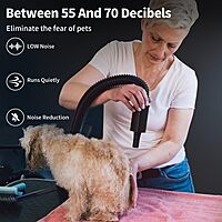 Soplador para Mascotas de 2000W, Secador de Pelo Canino con 4 Boquillas