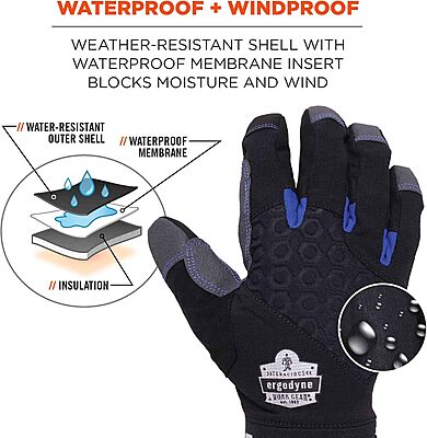 Ergodyne ProFlex 817WP Waterproof Work Gloves, Thermal Insulated, Touchscreen, Reinforced Palms Black, Medium Medium (Pack of 1)
