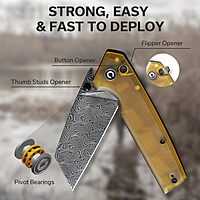 CIVIVI Amirite Pocket Knife, Folding Knife with 3.48" Damascus Modified Wharncliffe Blade Ultem Handle, Button Lock Knife for Men Gift C23028-DS1 Matte Amber
