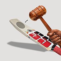 SS Cricket Bat Ton Super KW - SH