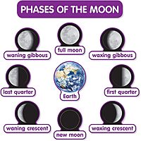 Scholastic Teachers Friend Early Science Concepts Bulletin Board Set, Preschool - Grade 2