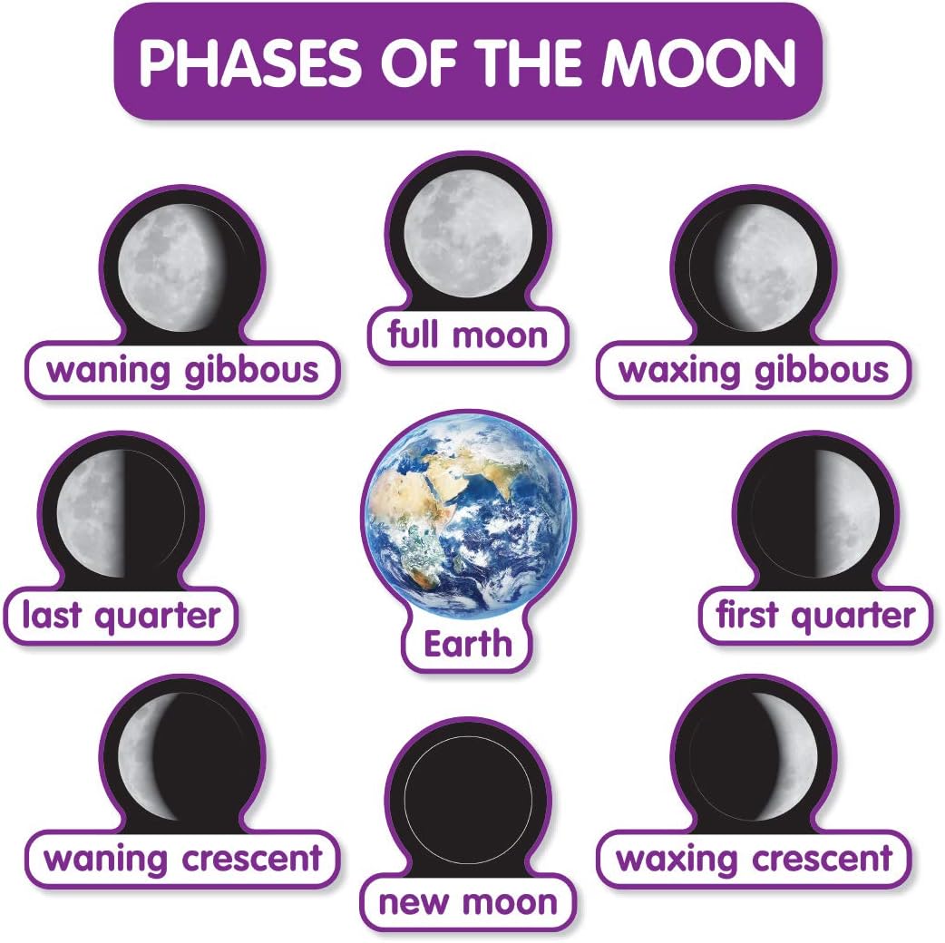 Scholastic Teachers Friend Early Science Concepts Bulletin Board Set, Preschool - Grade 2