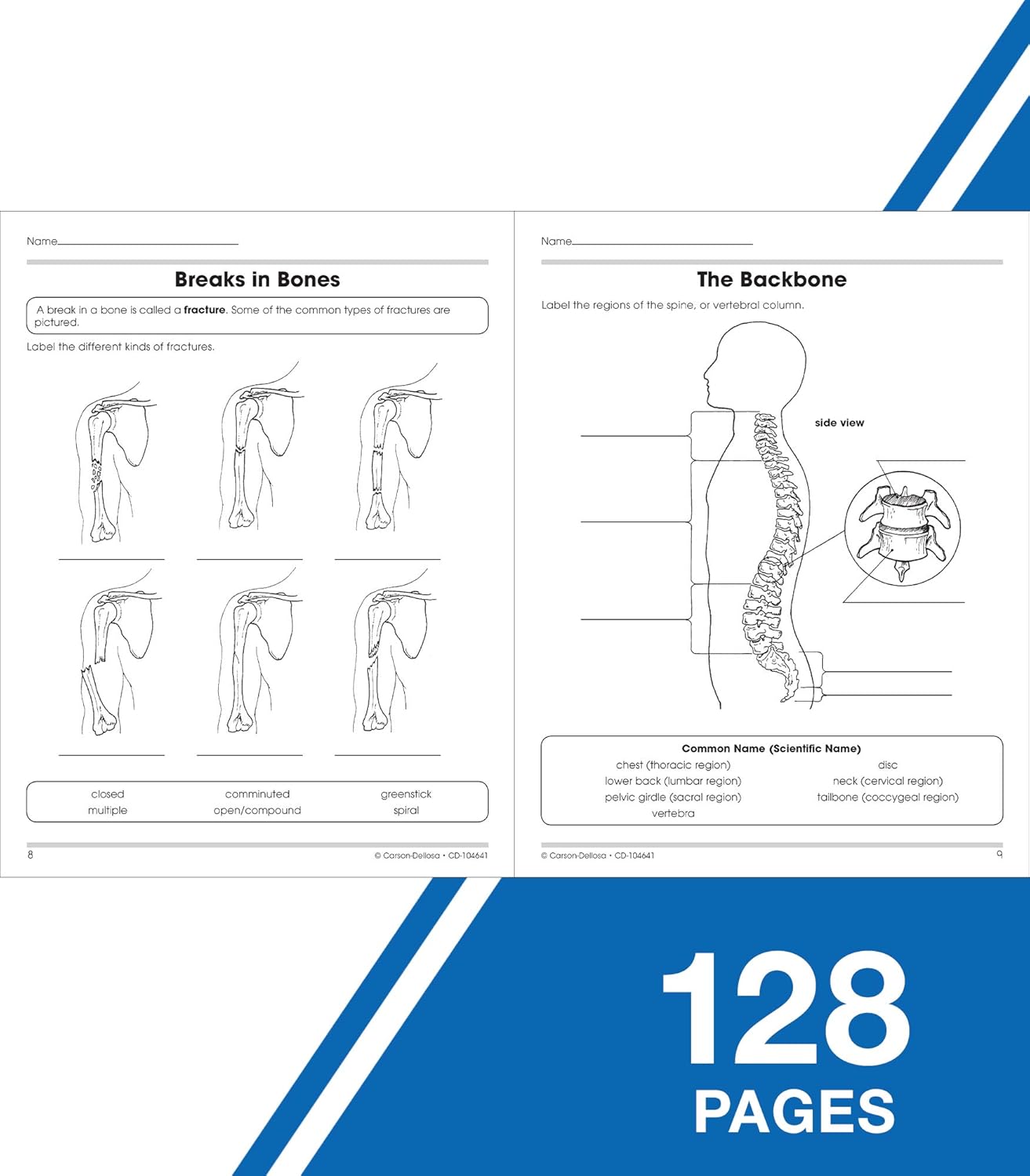 Carson Dellosa The 100+ Series: Human Body WorkbookGrades 5-8 Science Book, Human Anatomy, Bones, Muscles, Organs, the Nervous System, Health and Nutrition (128 pgs) (Volume 13)