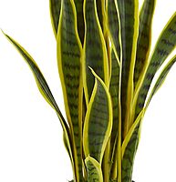 Nearly Natural Sansevieria 26in Artificial Plant With Pot, Green/Black