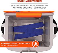 ERGODYNE Chill-Its 6700FR Evaporative FR Cooling Bandana, Tie Closure