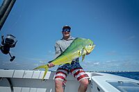 Tigress Swivel Side Mount Rod Holder, 9" Length and Stainless Steel with Vinyl Insert for Rod Protection