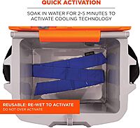 Ergodyne Chill Its 6700 Cooling Bandana, Evaporative Polymer Crystals for Cooling Relief, Tie for Adjustable Fit, Blue Solid Blue 1 Count (Pack of 1)